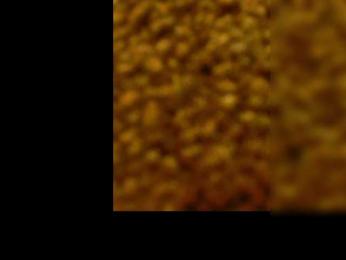 SweetCoople webcam bongacams model stream image