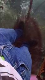 RoyalMaster_xxx webcam cam4 model stream image