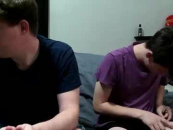 d_dart webcam model stream image