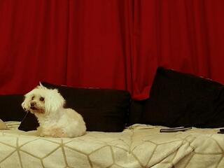 Ricky Stuart webcam flirt4free model stream image