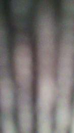 agusttinak3 webcam cam4 model stream image