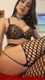 Sexy___Morena webcam cam4 model stream image