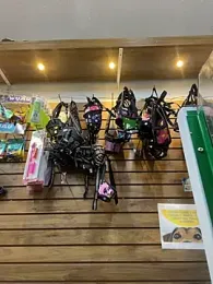 Leonardmoppet webcam model stream image