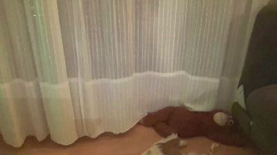 CalipoMad webcam cam4 model stream image