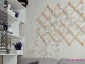 Mechanica webcam model stream image