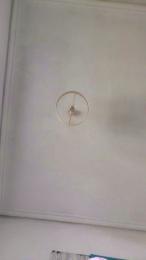 rizacanela webcam model stream image