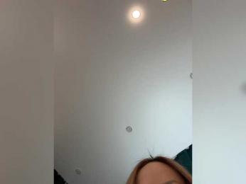 Ellidi webcam model stream image