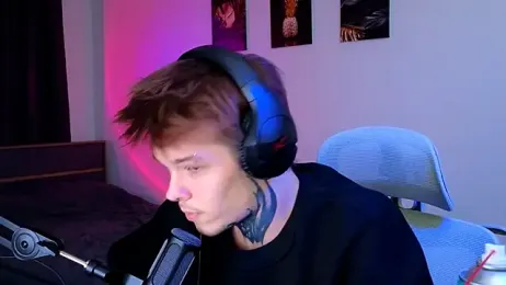 DENIS_HERE webcam model stream image