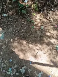 UrsoBissexualPauGrosso webcam model stream image