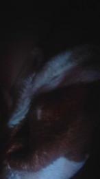 FilipaRicardo webcam model stream image