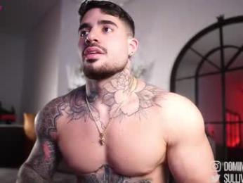 dominic_sullivan1 webcam chaturbate model stream image