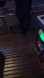 Emma_2007 webcam cam4 model stream image