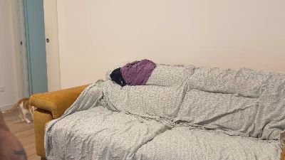 nimaxx webcam model stream image