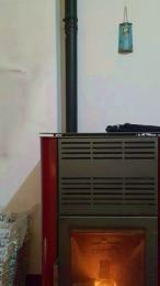 Viola8p webcam model stream image