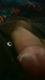 cosmo831 webcam model stream image