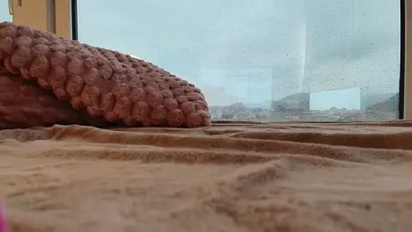 Lorennameliyy webcam model stream image