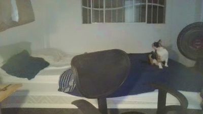 boypoti webcam model stream image