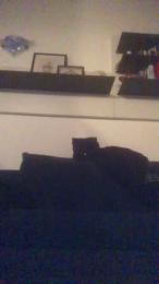 Alex77777777 webcam model stream image