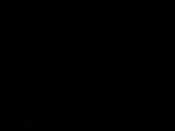 Ninimaus webcam model stream image