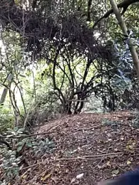 Nacho18hot webcam stripchat model stream image