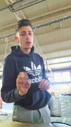 robinodxxx webcam cam4 model stream image