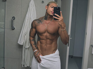 Diago Rockfield webcam model stream image