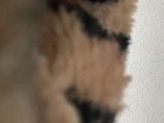 kobetyme webcam model stream image