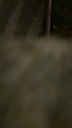 Nolino20 webcam cam4 model stream image