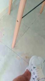 potrocba_sexy webcam model stream image