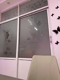 LXR77887 webcam model stream image