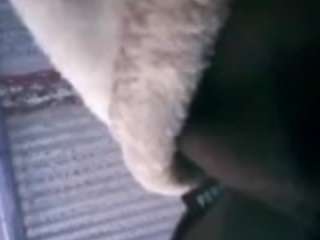 wackyeuphoria webcam model stream image