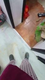 Falisan webcam model stream image