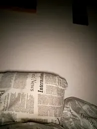 Sony28v webcam model stream image