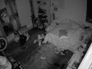 voyeurcam-hornyhostel-02 webcam model stream image