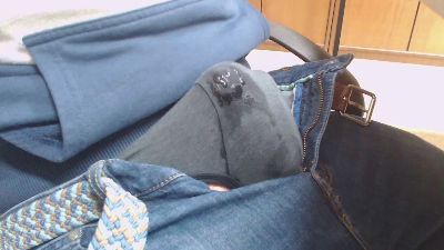 Raulistaa_92 webcam cam4 model stream image