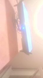 spensierata_xxx webcam model stream image