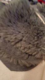 matty2773_sexy webcam model stream image