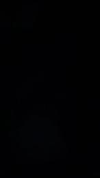 Picoletras webcam model stream image