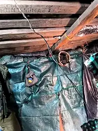 lamejorpene webcam model stream image