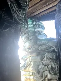 lamejorpene webcam model stream image