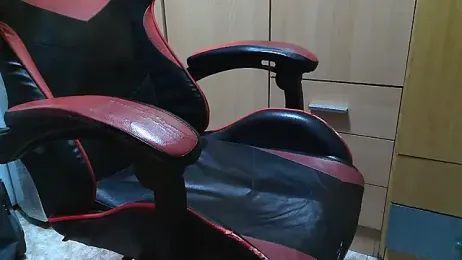 Javier_bear webcam model stream image