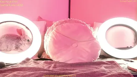 KirstenDanston webcam model stream image