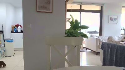 bigbonerbear webcam cam4 model stream image