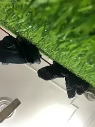 John_desihunk webcam stripchat model stream image