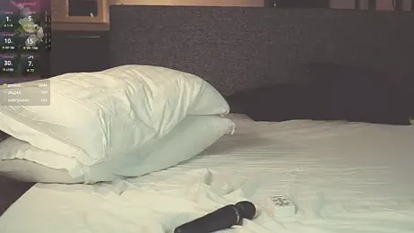 SanySenise webcam model stream image