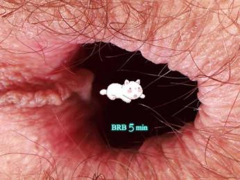 AmaReda webcam model stream image