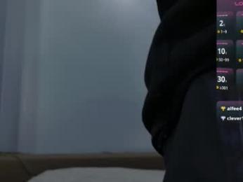 sinvoltage webcam model stream image