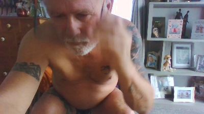 boxerdog3 webcam model stream image