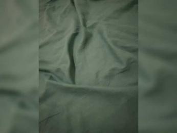 D-E webcam model stream image