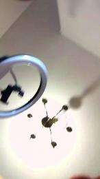 Annarellapika webcam cam4 model stream image